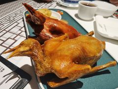 -大鸽饭(体育西路店)