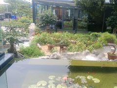 -蘇河湾·新鲁菜·泰山宴(泰山店)