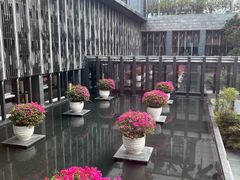 -三亚太阳湾柏悦酒店