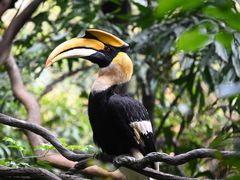 -广州长隆野生动物世界