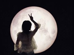 -STARRY CAFE & LOUNGE BAR(高新店)