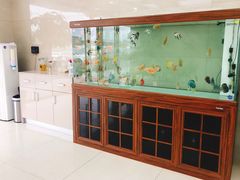 -诺贝川口腔(春都路旗舰店)