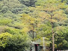-大雁山风景区