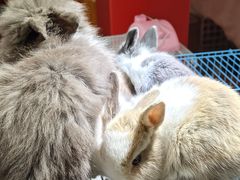 -万达广场(南京江宁店)