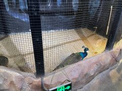 -酷嗒动物文化乐园(cutezoo西溪乐天城店)