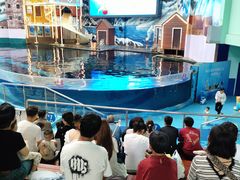 -西安曲江海洋极地公园