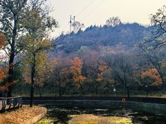 -白水寺森林公园