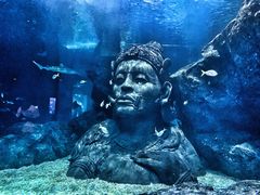-暹罗海洋世界