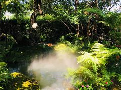 -Chom Cafe and Restaurant