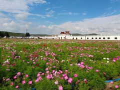 -坝上草原大汗行宫旅游景区