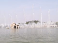 -大兴滨河森林公园