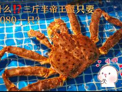 -海派美食·家宴海鲜青岛菜·石锅鲽鱼头(东方城店)