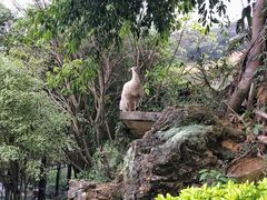 -丫沙底瀑布温泉