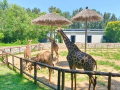 -北京野生动物园