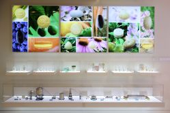 -安利上海体验馆