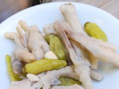 -探窝·竹笙椰子鸡(杨箕店)