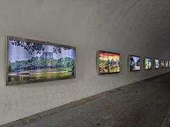 -深圳国际园林花卉博览园