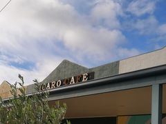 -Dooley's Premium Ice Cream