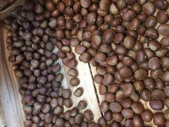 -阿男野栗王(金门路店)