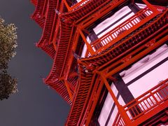 -绳金塔