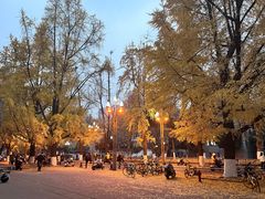 -四川大学(华西校区)