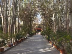 -艾提尕尔清真寺