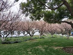 -荆川公园