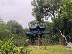 -柳侯公园