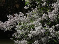 -朝阳公园