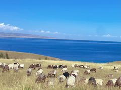 -青海湖国家重点风景名胜区
