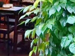 -鱼醉无骨鱼·中山脆肉鲩(荔湾路店)