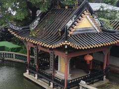 -碧江金楼