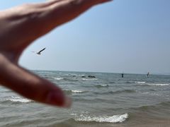 -老虎石海上公园