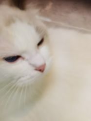 -元一肌肤管理中心