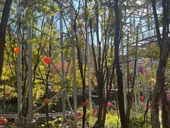 -帽儿山风景区