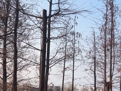 -云龙湖旅游景区