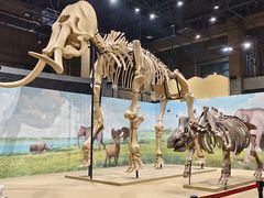 -国家自然博物馆