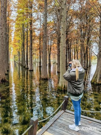 Winter Water Forrest 
