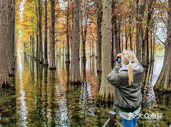 Winter Water Forrest 