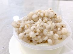 薏米双皮奶-老周记顺德双皮奶