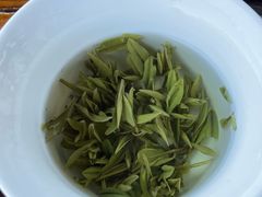 -大唐贡茶院