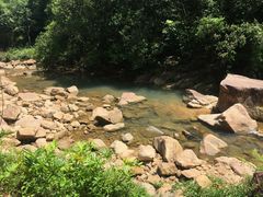 -广州白江湖森林公园