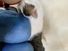 -玉椰林甜品店(创始店)