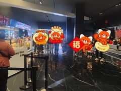 -奥斯卡升龙国际影城(RealD Cinema)