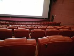 -卢米埃影城(长楹天街IMAX激光店)