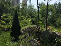 -前关湿地公园