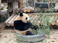 -上海野生动物园