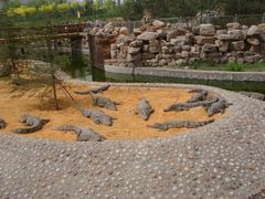 -石家庄市动物园