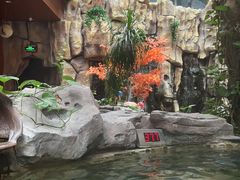 -嘉悦汗蒸时代(曙光路店)