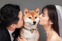 -格调婚纱摄影 (福州总店)